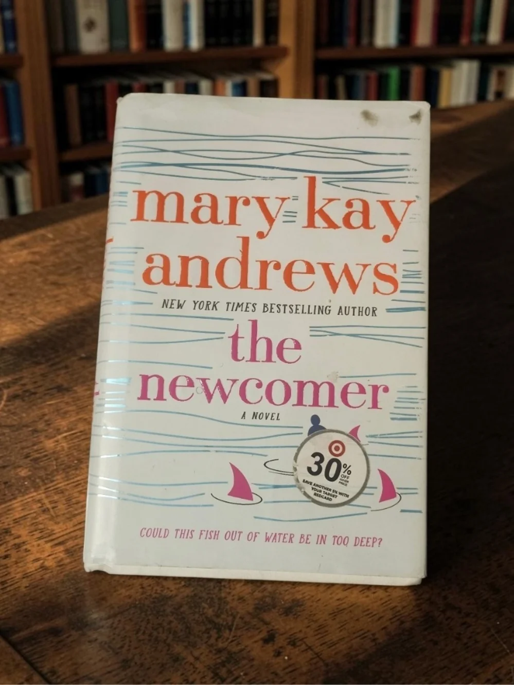 The Newcomer: A Novel NY Times Best Selling Author